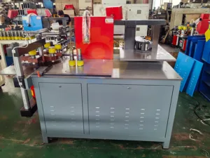 SS-50-3CNC Busbar Punching Machine in China